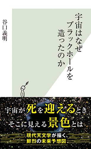 宇宙はなぜブラックホールを造ったのか